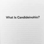 What Is Candideinohio? A Simple Guide for Beginners